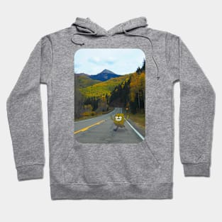 Bud on Earth- Sighting 7 Hoodie